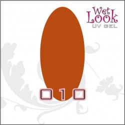 Gel Color Wet Look 5g #010